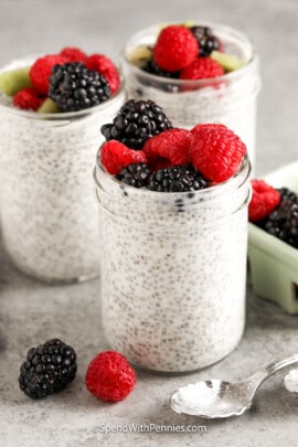 chia seed pudding topped with fruit