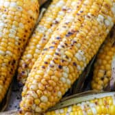 Grilled corn shown close up