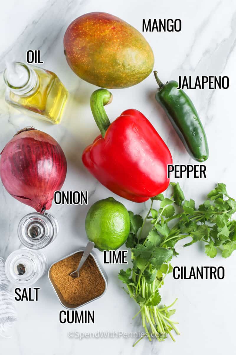 mango , jalapeno , oil , pepper , onion , lime, cilantro , cumin and salt with labels to make Fresh Mango Salsa Recipe