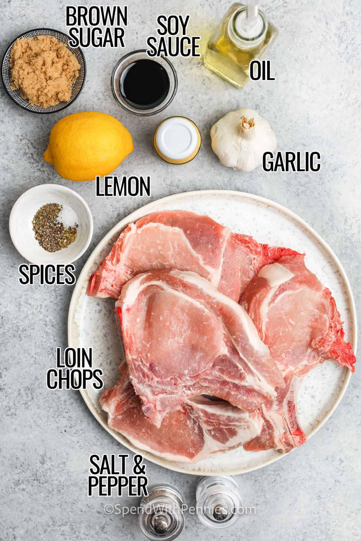 loin chops, spices , lemon , garlic, oil , soy sauce , brown sugar, mustard to make Grilled Pork Chops with labels