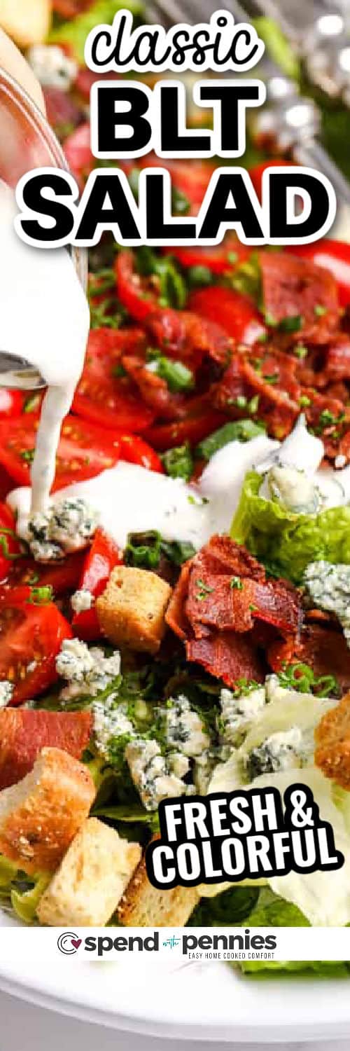 close up of BLT Salad with writing